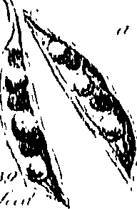 099/099300010201460_1.png