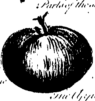 099/099300010201460_2.png