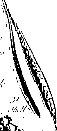 099/099300010201460_3.png