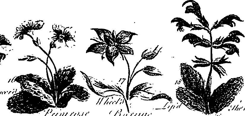 099/099300010201460_5.png