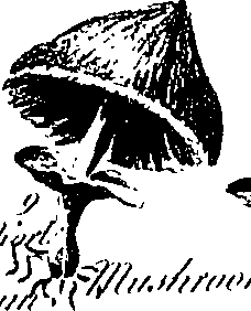 099/099300010201460_6.png