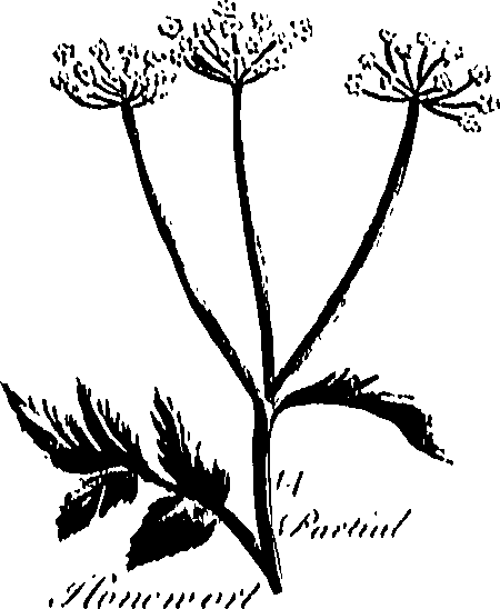 099/099300010201470_0.png