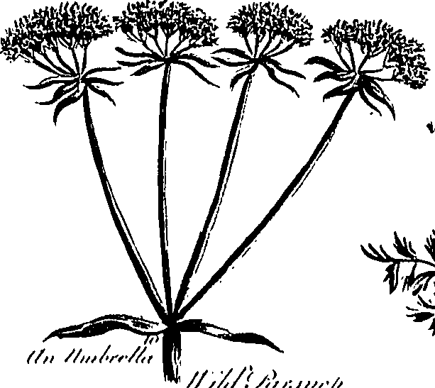 099/099300010201470_1.png