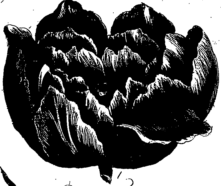 099/099300010201480_1.png
