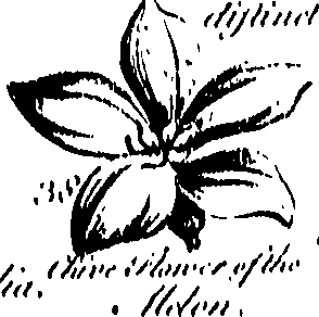 099/099300010201490_0.png