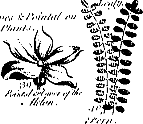 099/099300010201490_1.png