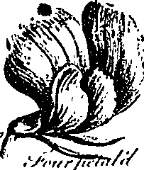099/099300010201490_3.png