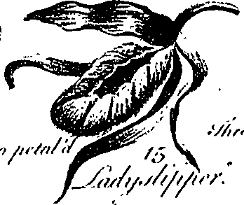 099/099300010201490_4.png