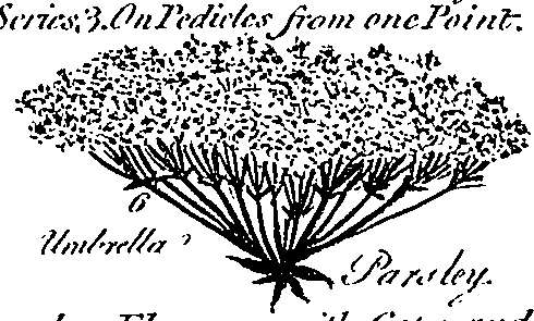 099/099300010201490_6.png