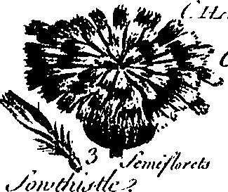 099/099300010201490_7.png