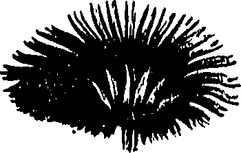 099/099300010201500_0.png