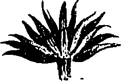 099/099300010201500_1.png