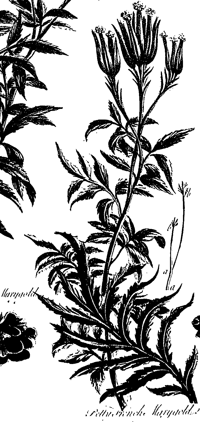 099/099300010201510_0.png