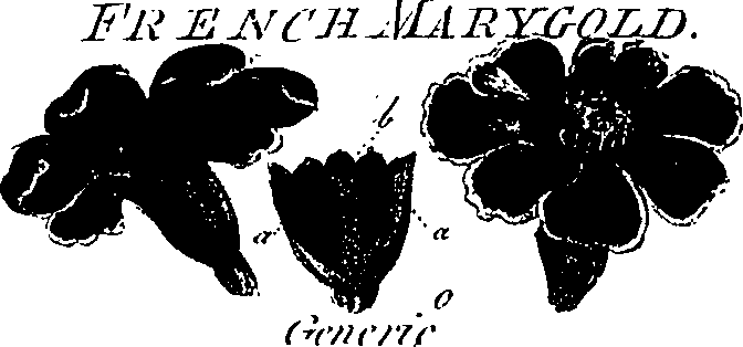 099/099300010201510_1.png