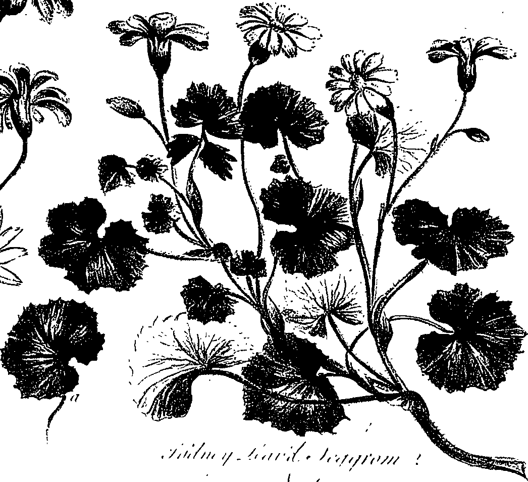 099/099300010201520_1.png