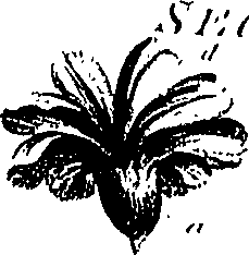 099/099300010201520_2.png