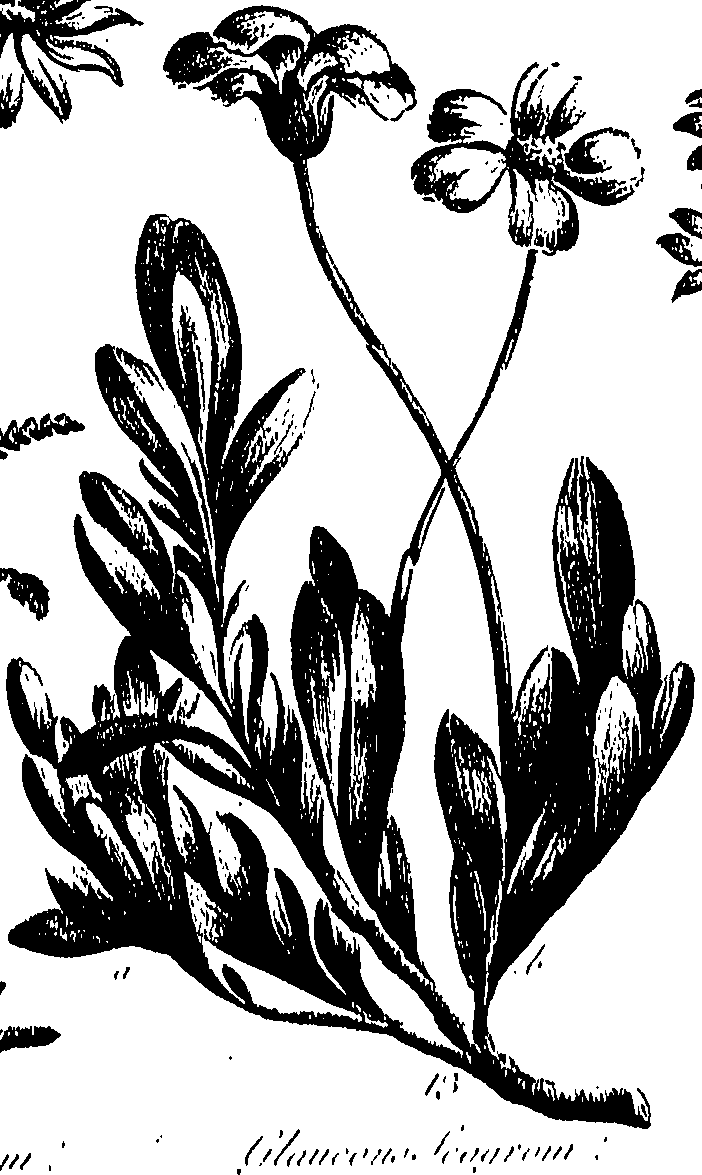 099/099300010201540_0.png