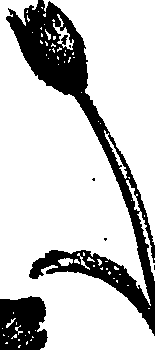 099/099300010201540_1.png