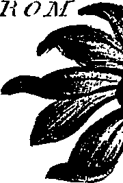 099/099300010201540_2.png