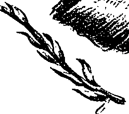 099/099300010201560_0.png