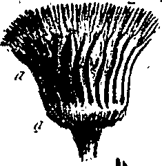 099/099300010201560_1.png