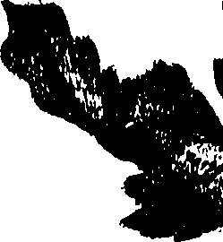 099/099300010201570_0.png