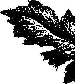 099/099300010201570_1.png