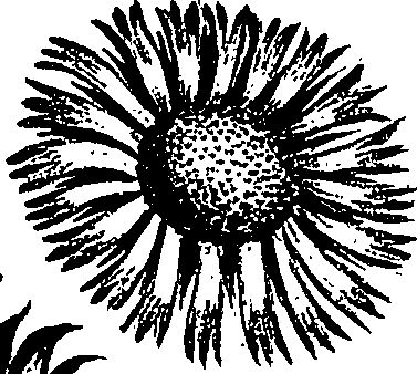 099/099300010201570_2.png