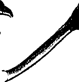 099/099300010201580_0.png