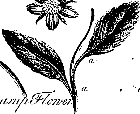 099/099300010201580_1.png