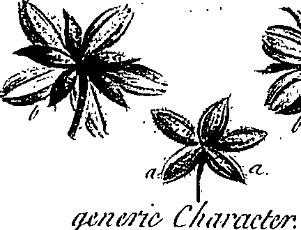 099/099300010201580_2.png