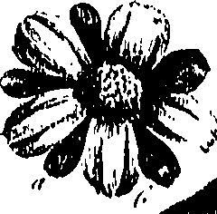 099/099300010201590_0.png