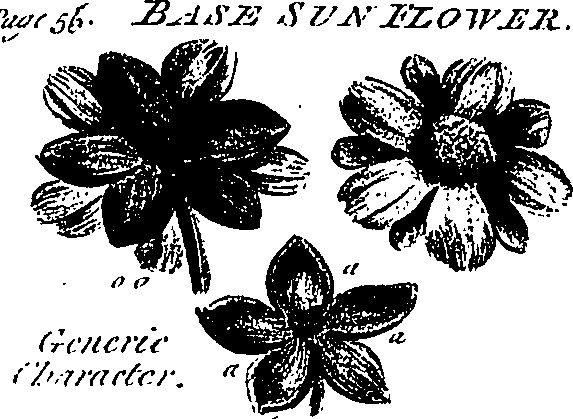 099/099300010201590_1.png