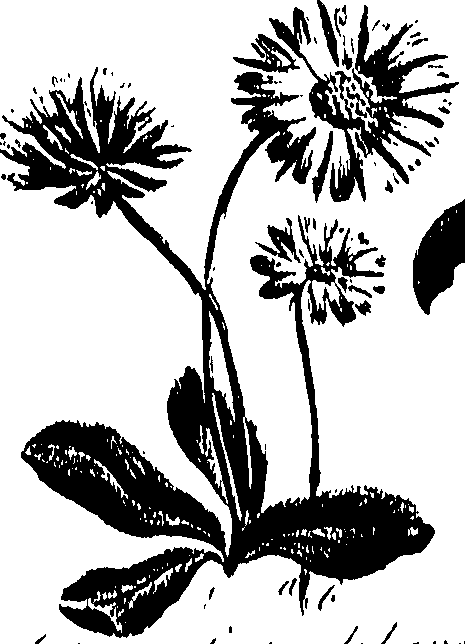 099/099300010201610_0.png