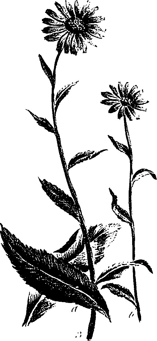 099/099300010201610_1.png