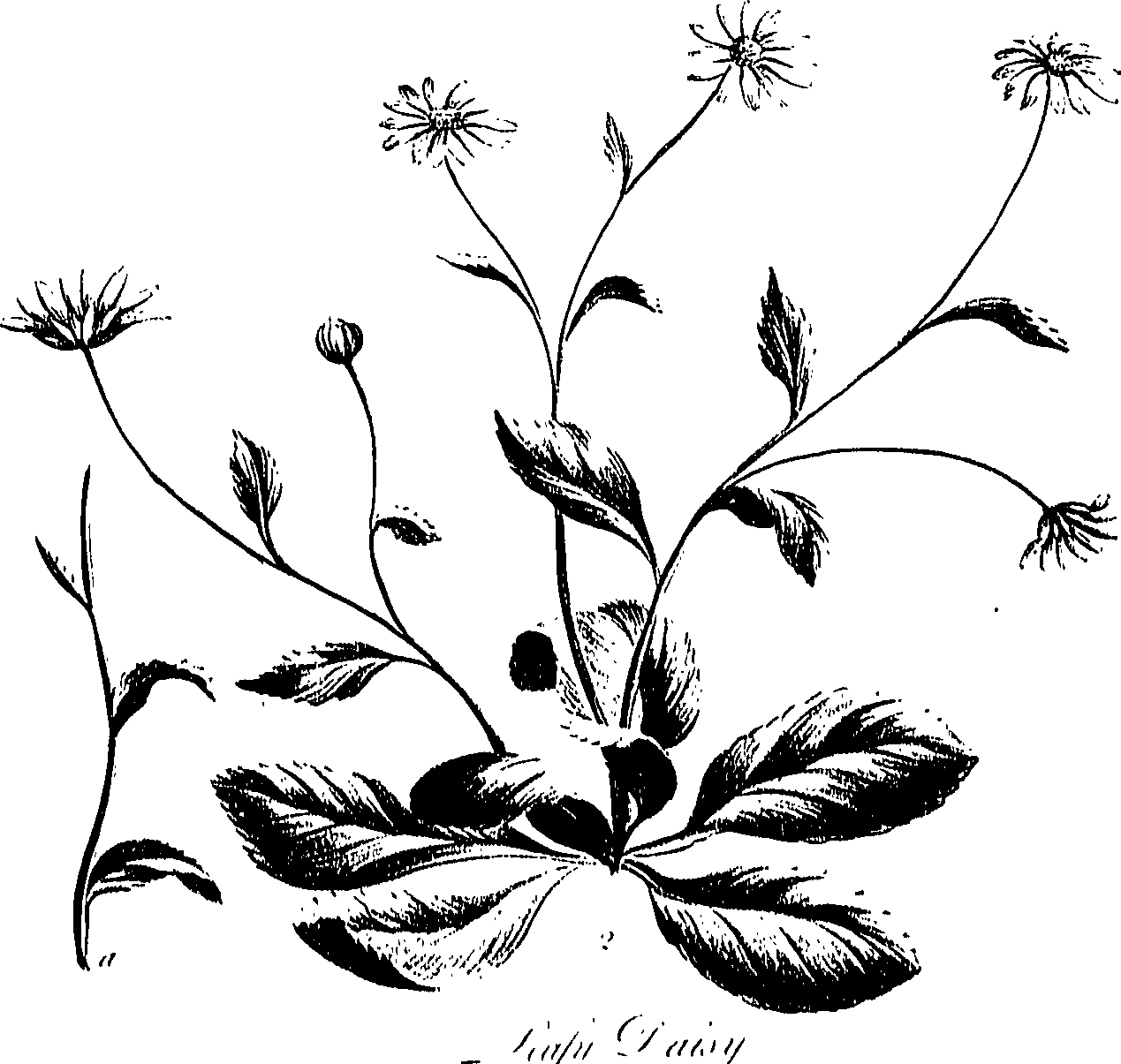 099/099300010201620_0.png