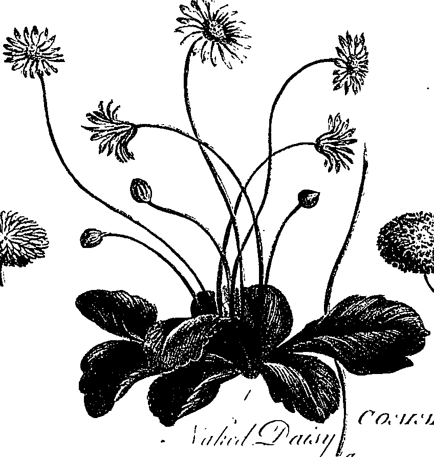099/099300010201620_1.png