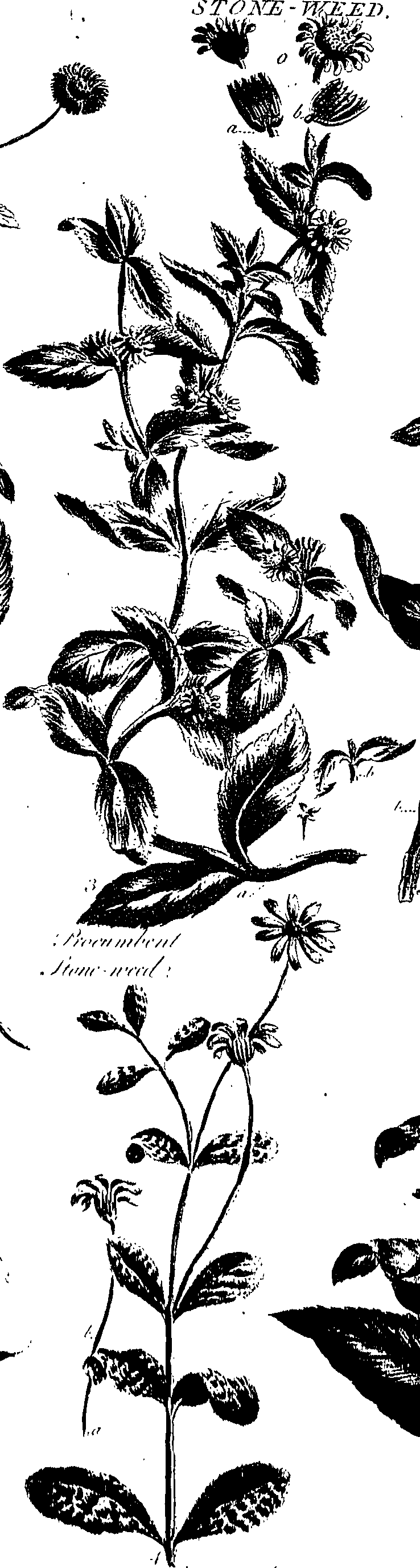 099/099300010201630_0.png