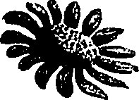 099/099300010201640_0.png