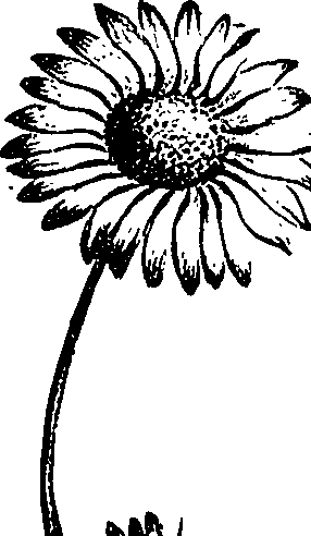 099/099300010201650_0.png