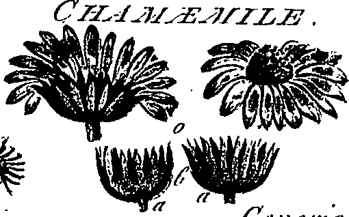 099/099300010201650_1.png