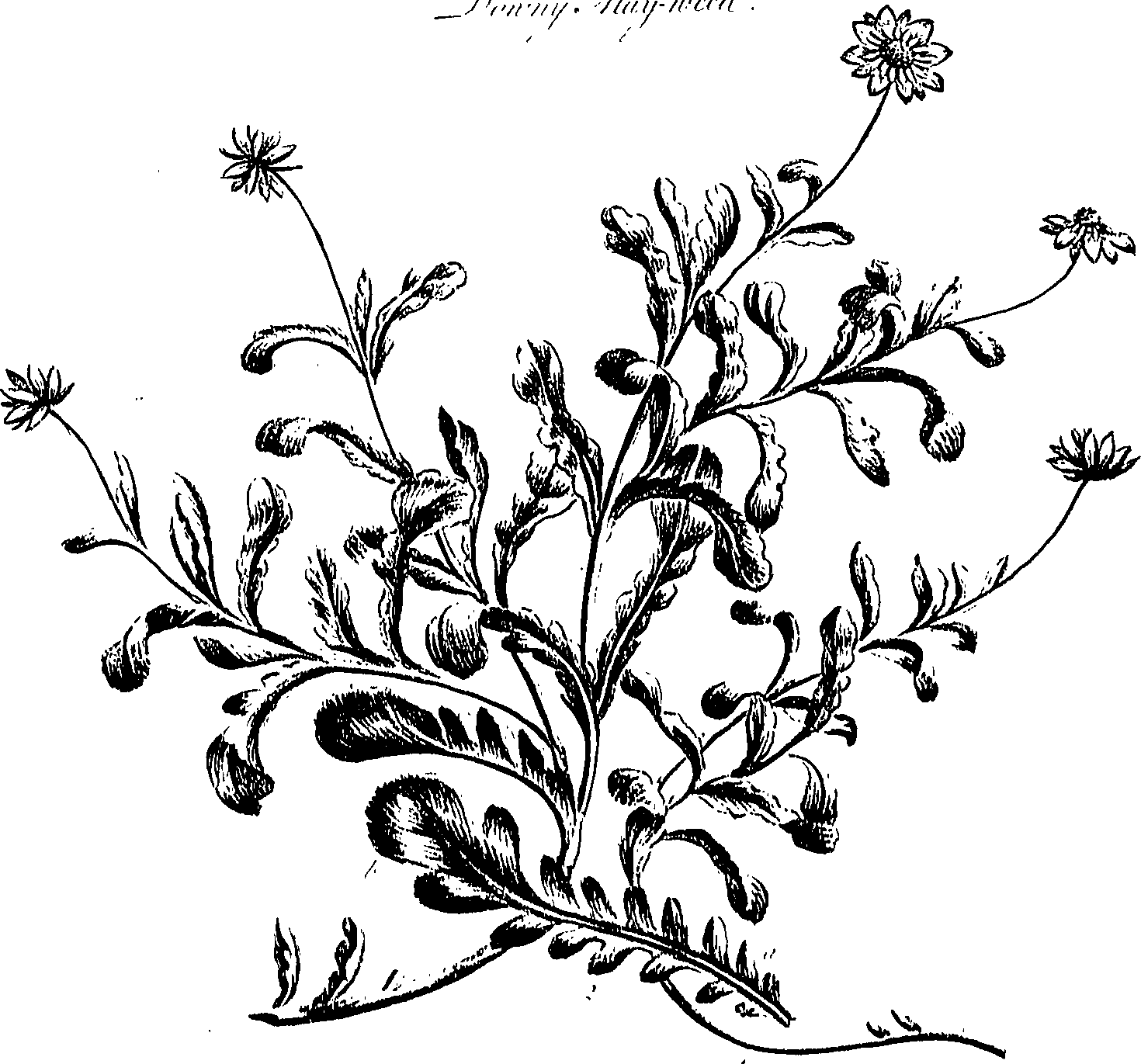 099/099300010201690_0.png