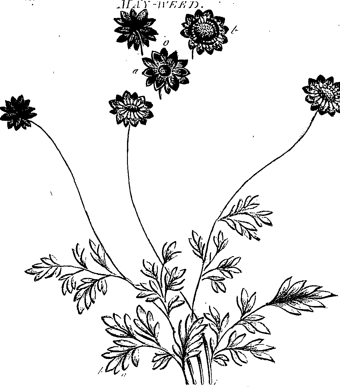 099/099300010201690_1.png