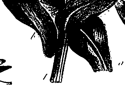 099/099300010201700_0.png