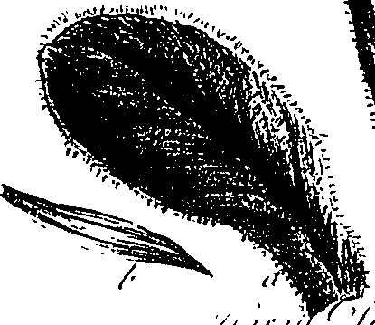 099/099300010201710_0.png