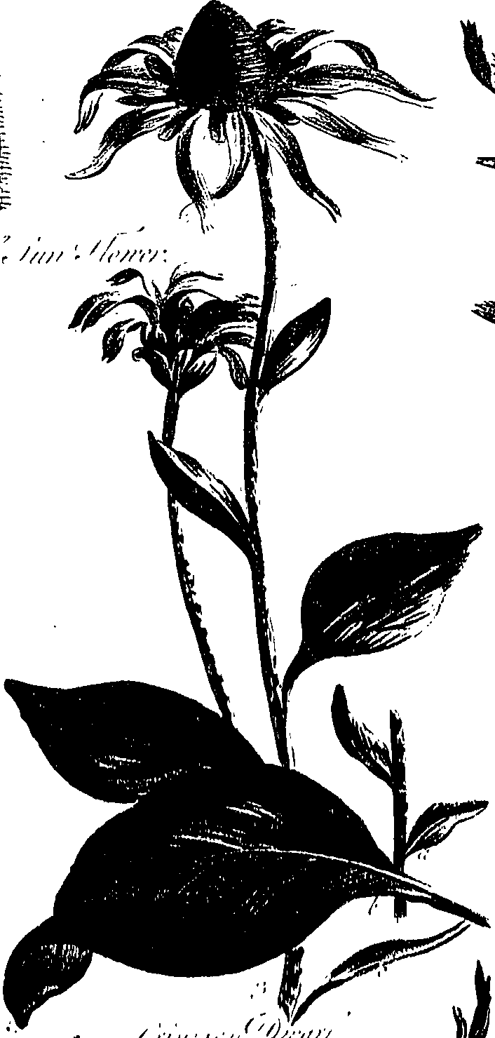 099/099300010201710_1.png