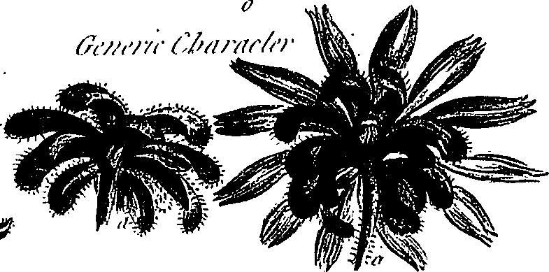 099/099300010201710_2.png