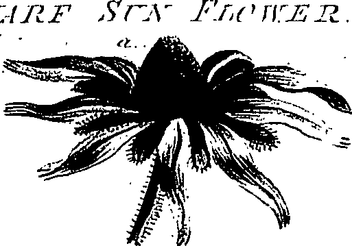 099/099300010201710_3.png