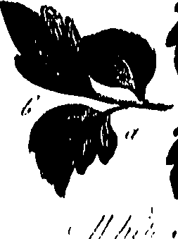 099/099300010201720_0.png