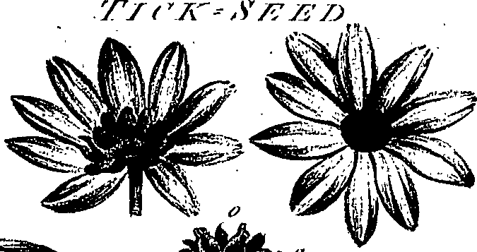 099/099300010201720_1.png
